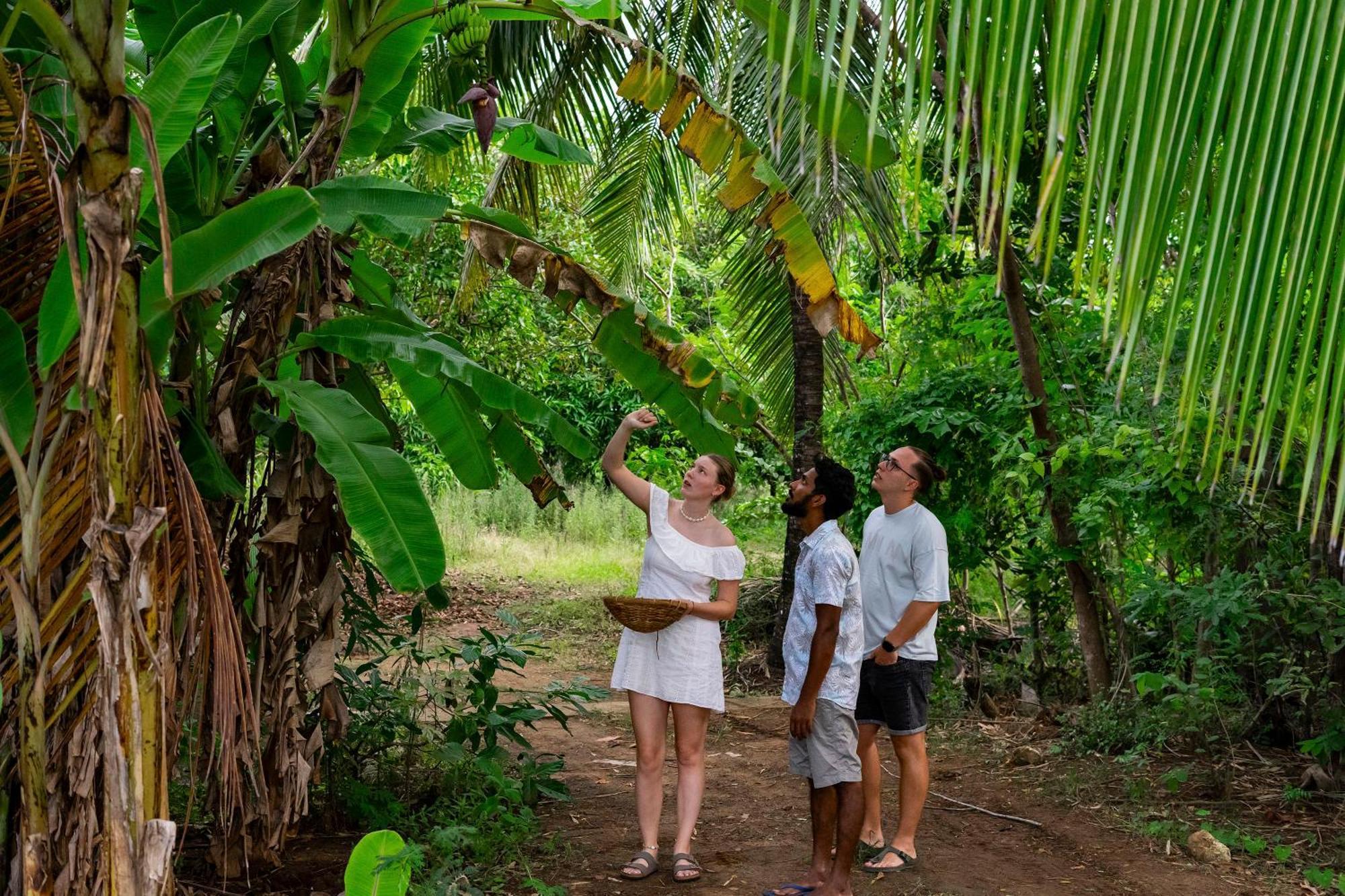 River Paradise Safari House With Cooking Class Udawalawe Esterno foto