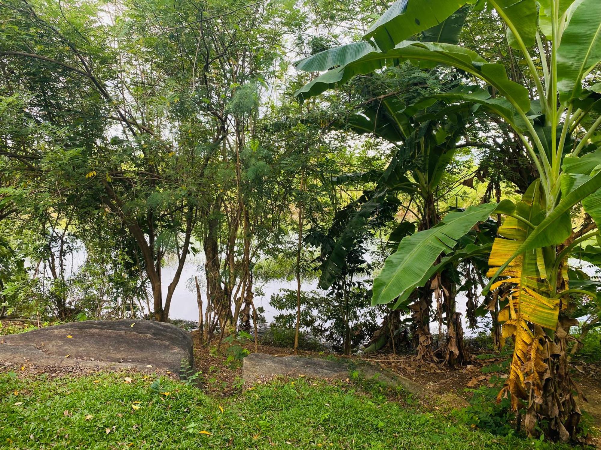 River Paradise Safari House With Cooking Class Udawalawe Esterno foto